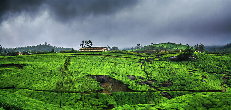 Monsoon Season In Munnar Photograph by Vidhu Photography
