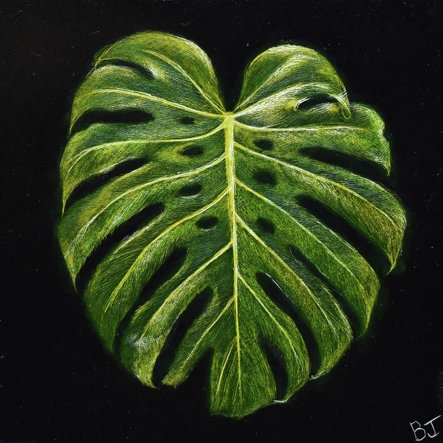 Monstera Drawing by Brittany Johnson Fine Art America