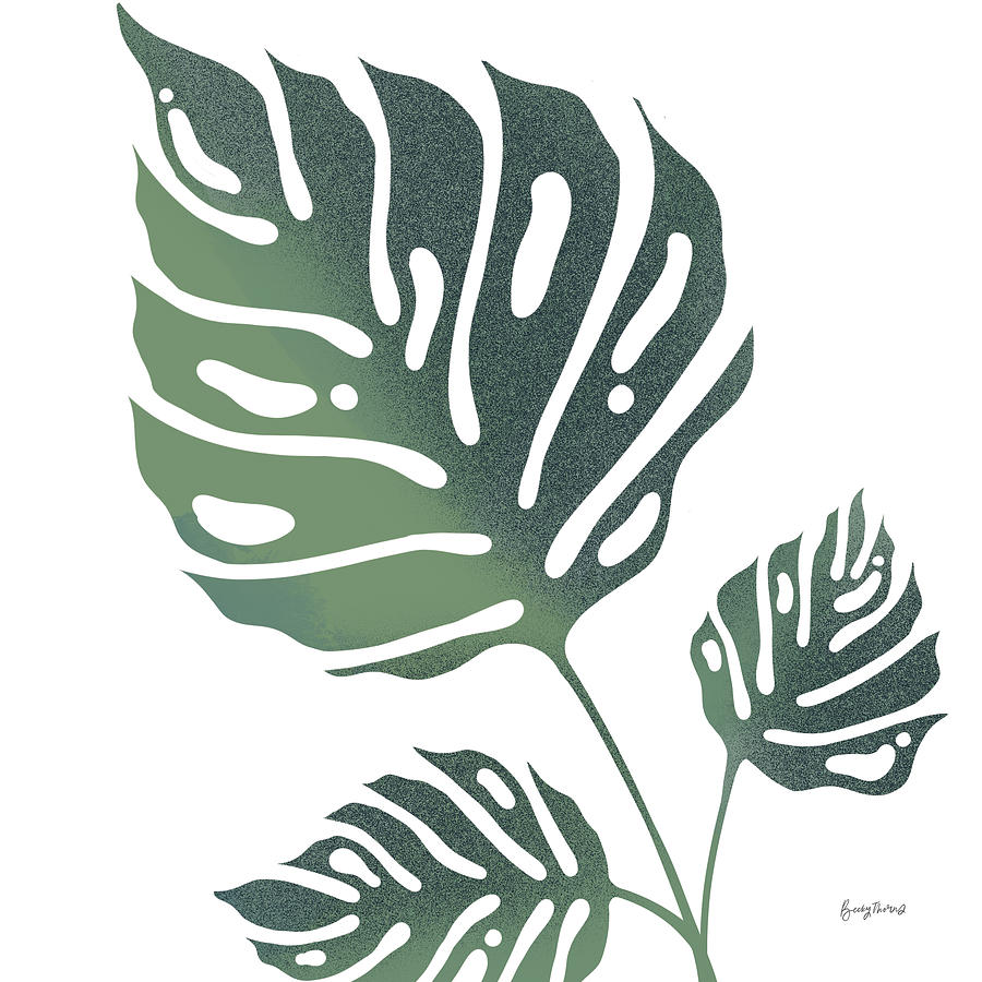 Botanical Painting - Monstera Iv White by Becky Thorns