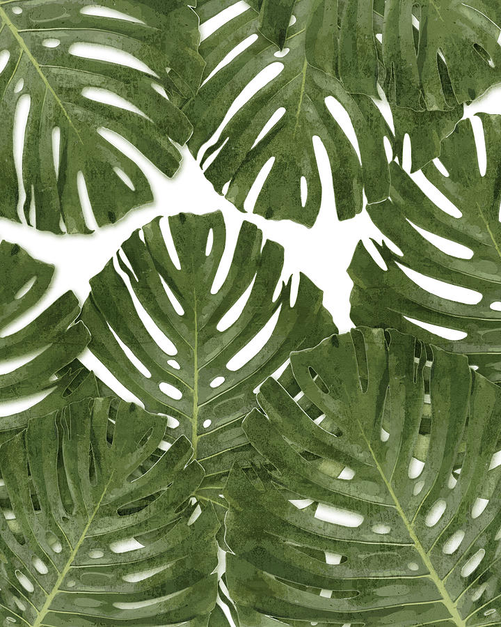 Monstera Mixed Media - Monstera Leaf Pattern - Green - Tropical, Botanical design - Modern, Minimal Decor by Studio Grafiikka