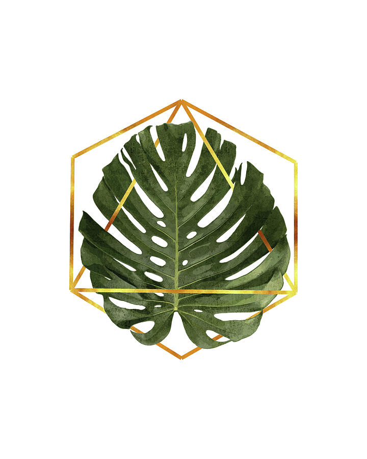Monstera Mixed Media - Monstera Leaf Pattern - Tropical Leaf Pattern - Green - Gold Geometric Shape - Modern, Minimal by Studio Grafiikka
