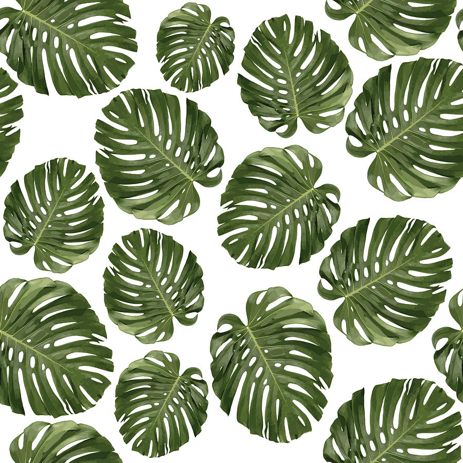Monstera Leaf Pattern - Tropical Leaf Pattern - Green - Tropical, Botanical - Modern, Minimal - 1 Mixed Media
