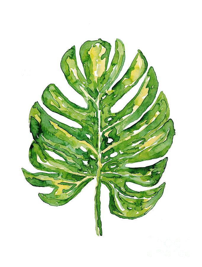Monstera Leaf Watercolor Art Painting By Maryna Salagub