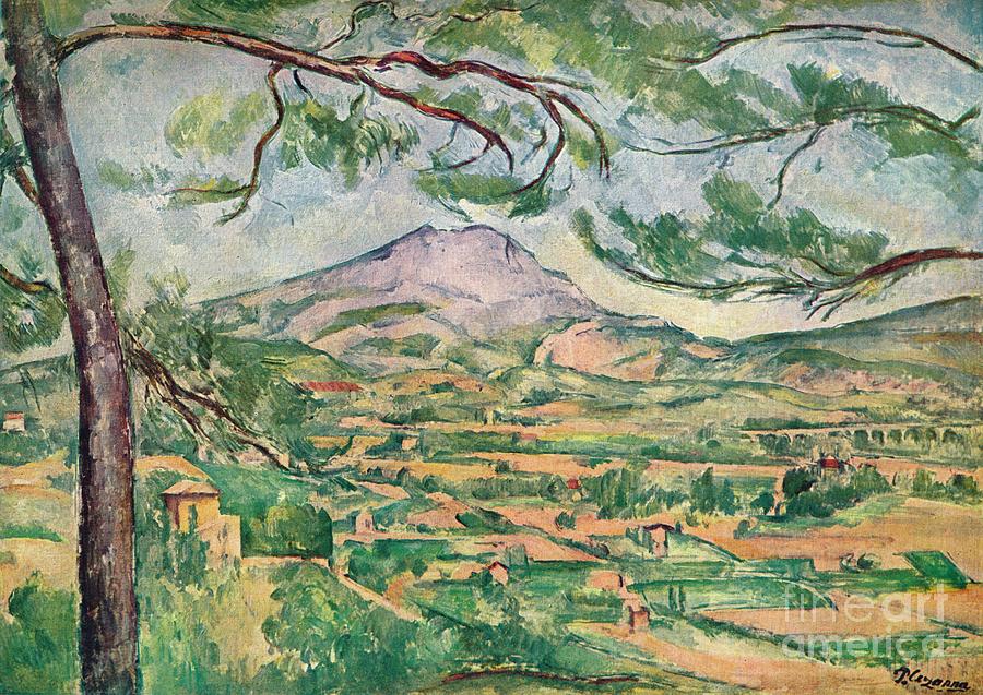 Mont Sainte-victoire With Large Pine Drawing by Print Collector