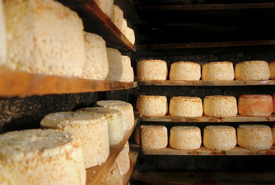 Montafoner Cheese In A Cellar Photograph by Rita Newman