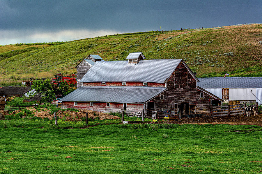 Montana Barn  Photograph by Douglas Wielfaert