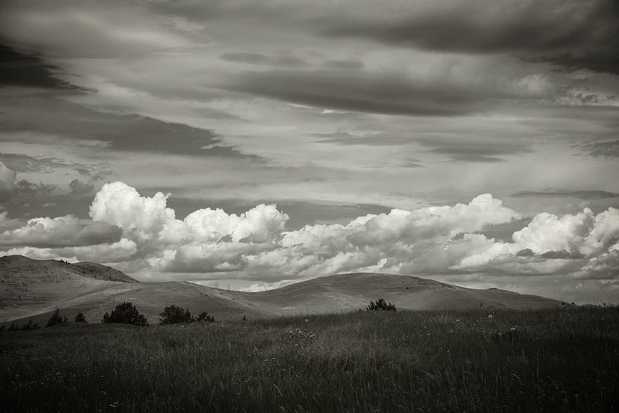 Montana Grassland Photograph by Bud Simpson
