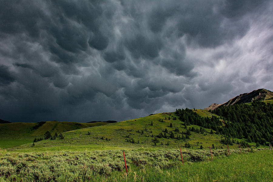 Montana High-Based Thunderstorm Photograph by Douglas Wielfaert