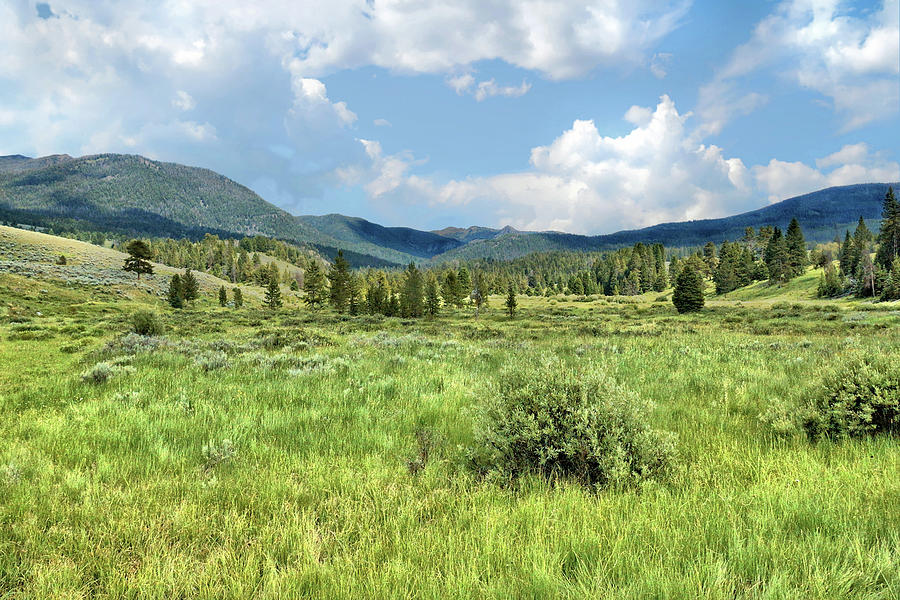 Montana High Country 1 Photograph by John Trommer - Fine Art America