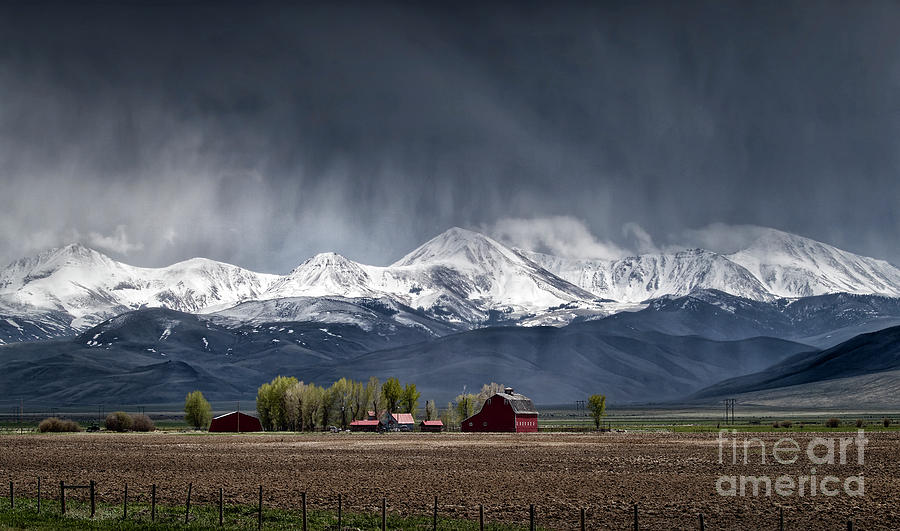 Montana Homestead Photograph
