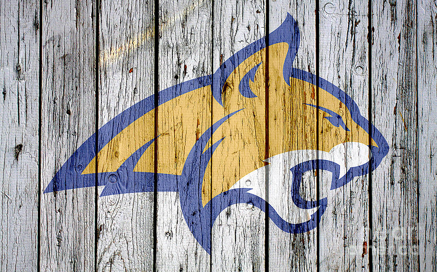 Montana State University Bobcats Digital Art by Steven Parker