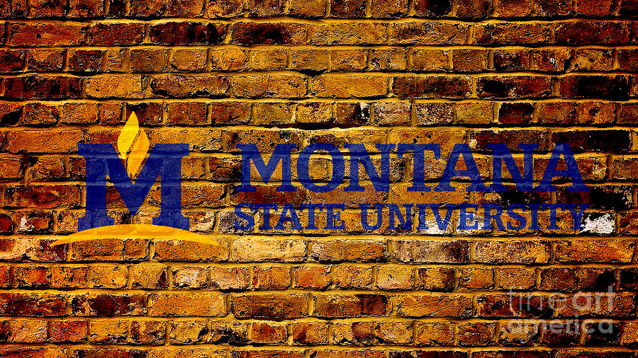 Montana State University Digital Art by Steven Parker