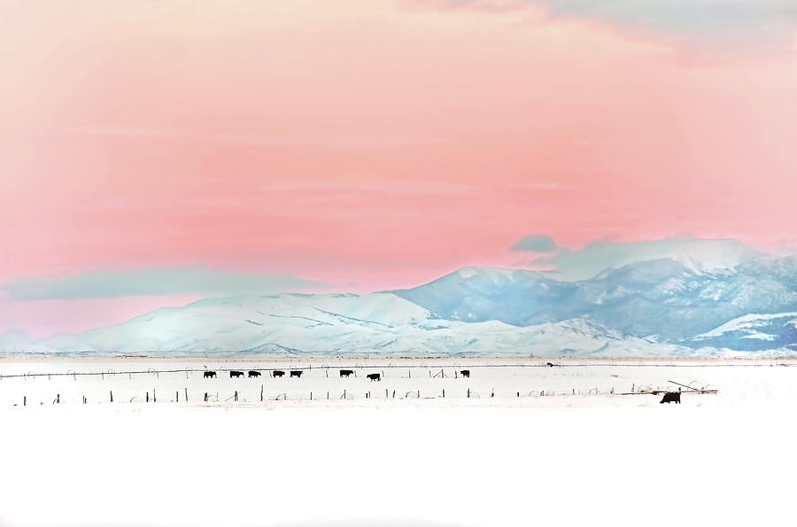 Montana Winter Sunset Sky Photograph by Jennie Marie Schell