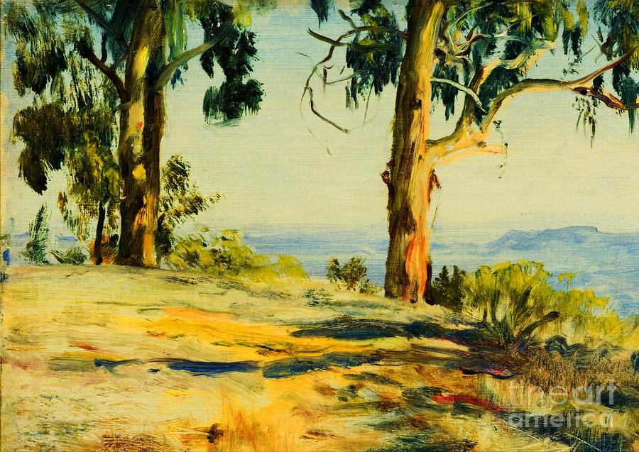 Montecito Vista Painting by Peter Ogden