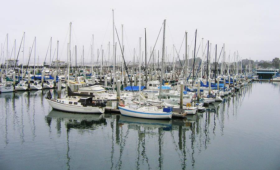 Monterey Bay Marina Digital Art by Ed Stines