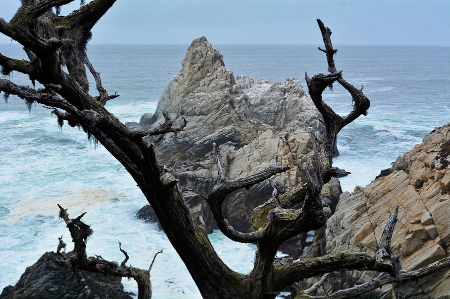 Monterey Cypress Point Lobos Photograph by Kyle Hanson