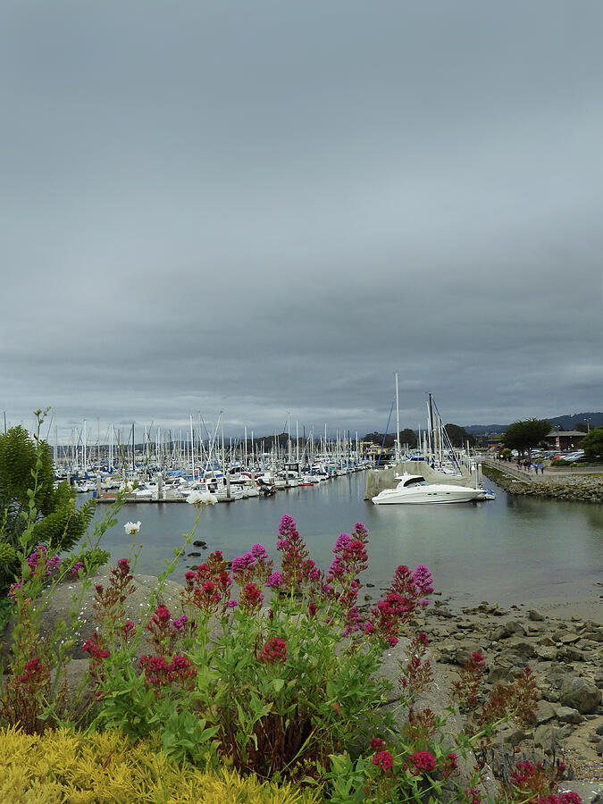 Boat Photograph - Monterey Harbor  by Gordon Beck