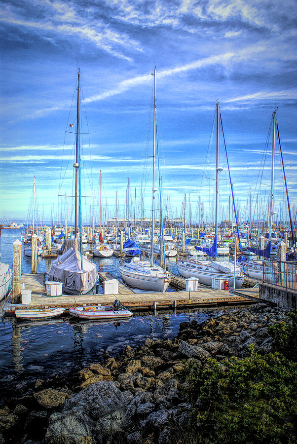 Monterey Harbor California 2 Photograph by Barbara Snyder