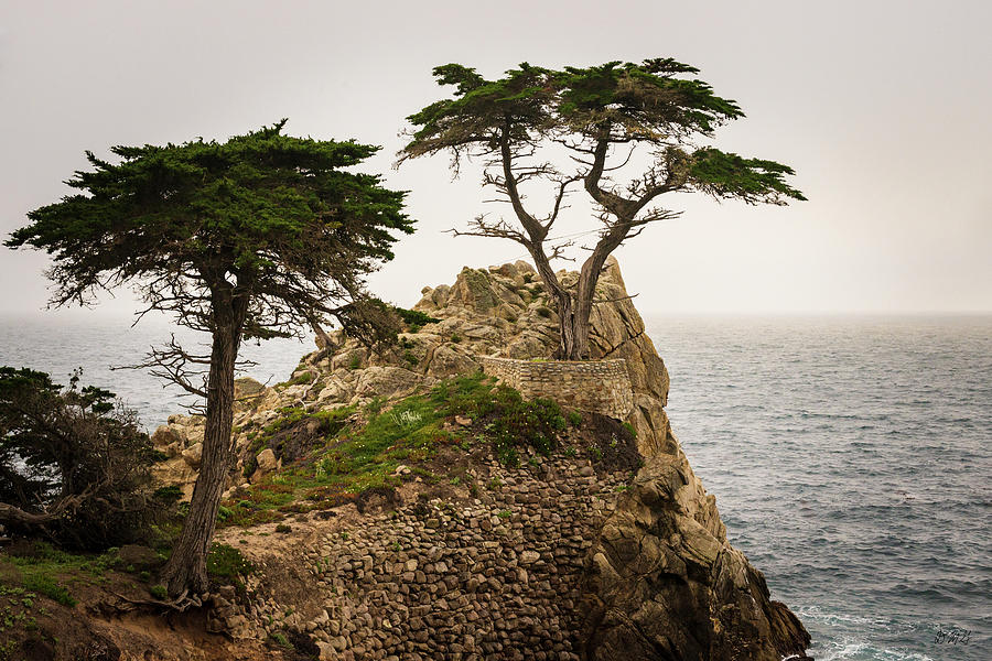 Monterey Peninsula II Color Photograph by David Gordon