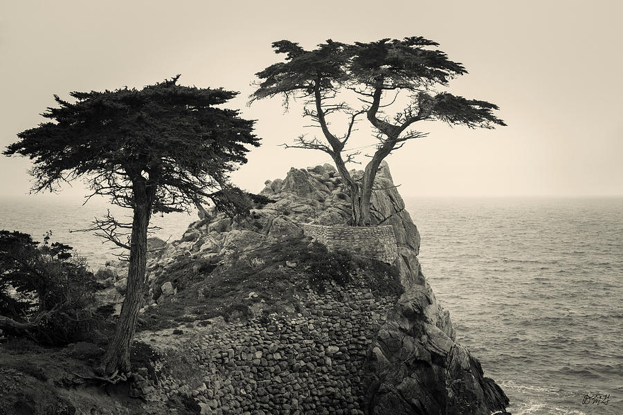 Monterey Peninsula II Toned Photograph by David Gordon