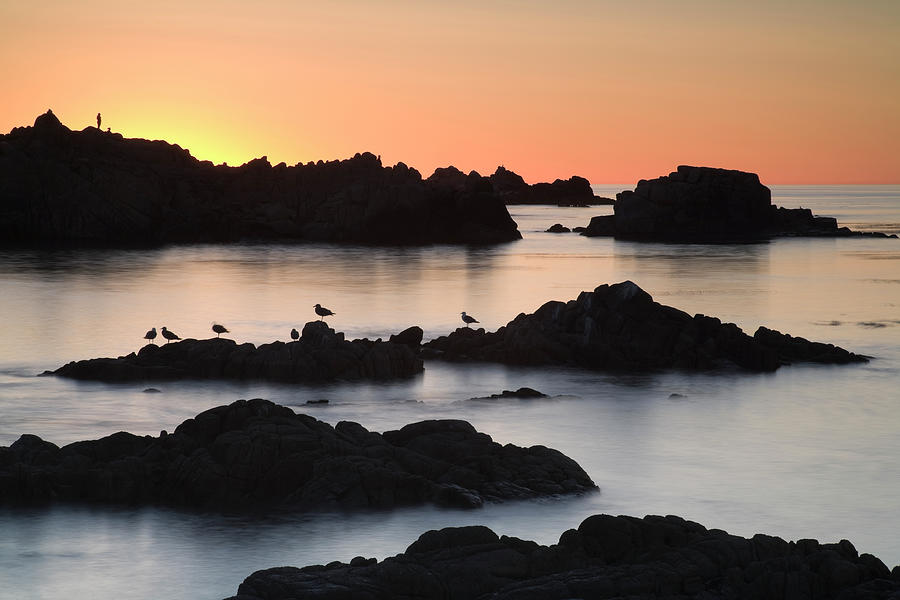 Sunset Photograph - Monterey_3-67 by Moises Levy