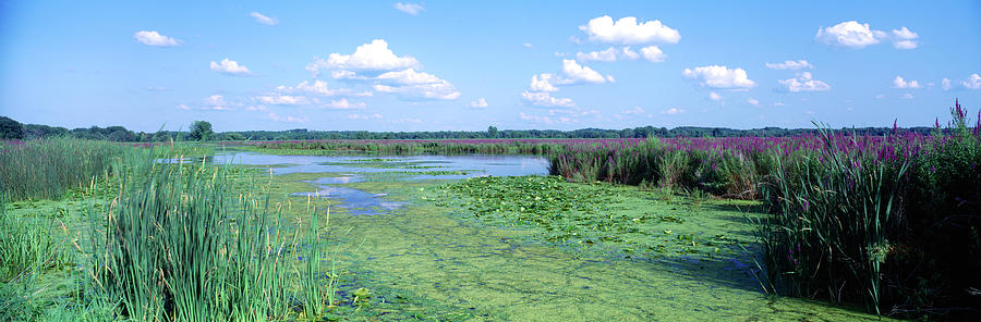 Montezuma National Wildlife Refuge Photograph by Panoramic Images ...