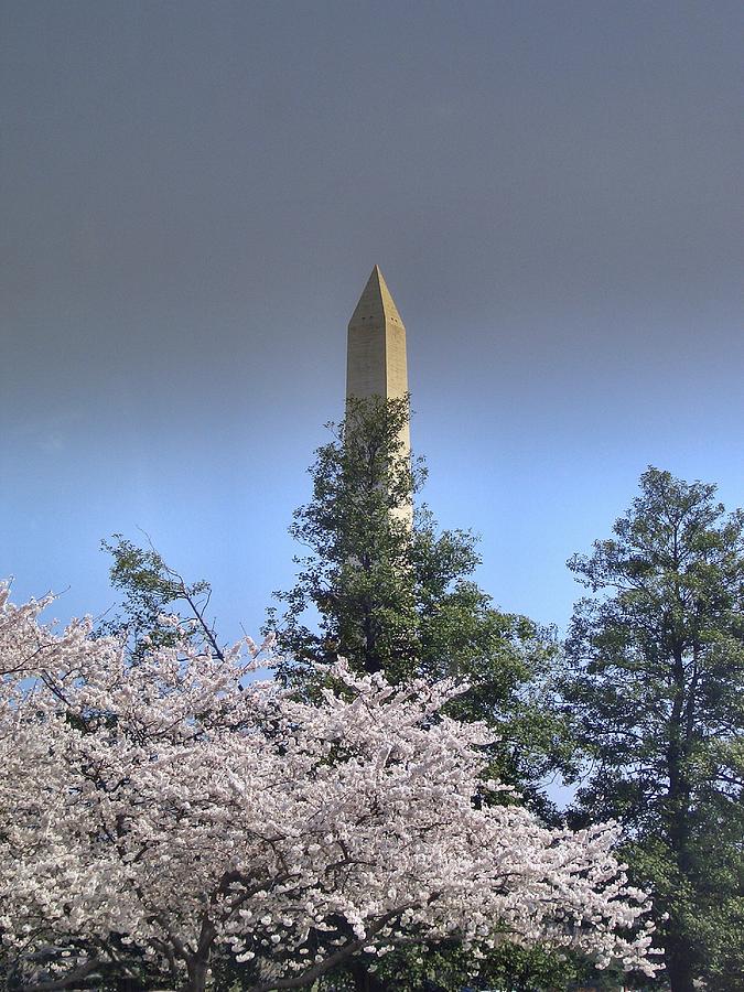 Monument Blossoms Photograph by Lin Grosvenor