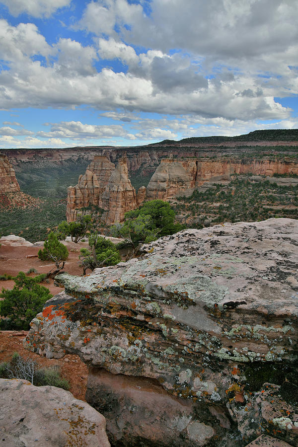 Monument Canyon from Rim Trail in Colorado NM Photograph by Ray Mathis