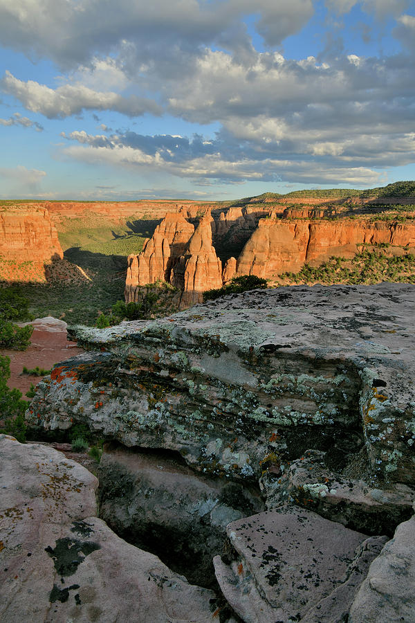 Monument Canyon from Rim Trails Edge Photograph by Ray Mathis