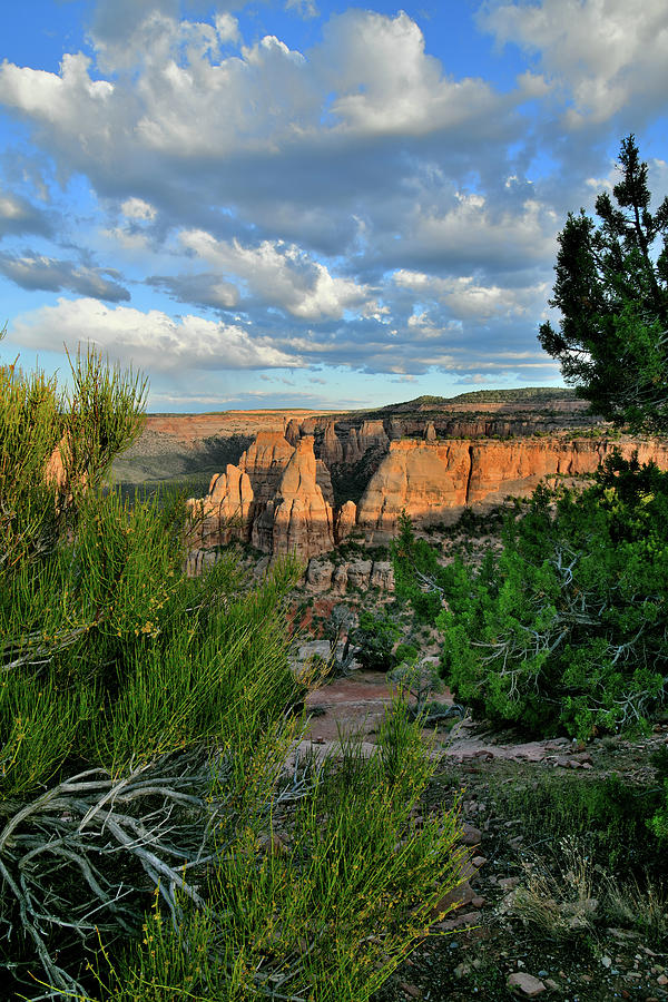 Monument Canyon from Saddlehorn Mesa Photograph by Ray Mathis