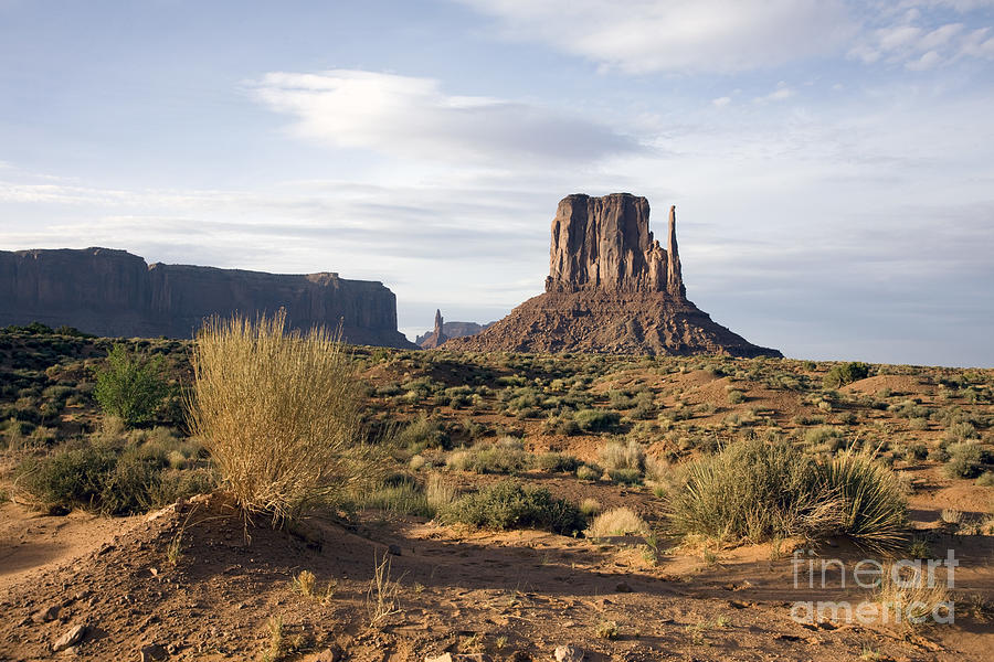 Monument Valley, 2009 Photograph by Carol Highsmith
