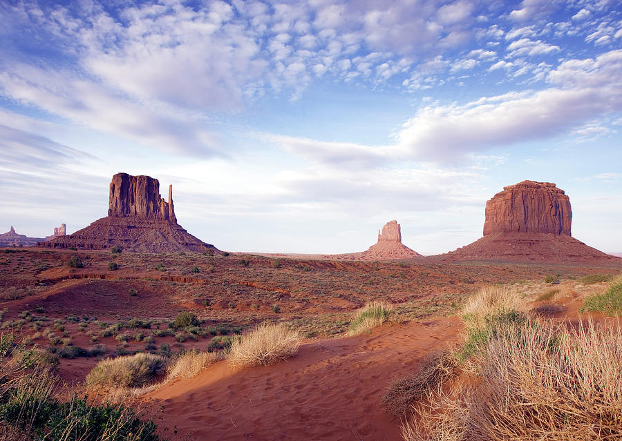 Monument Valley View, Arizona Painting by Carol Highsmith