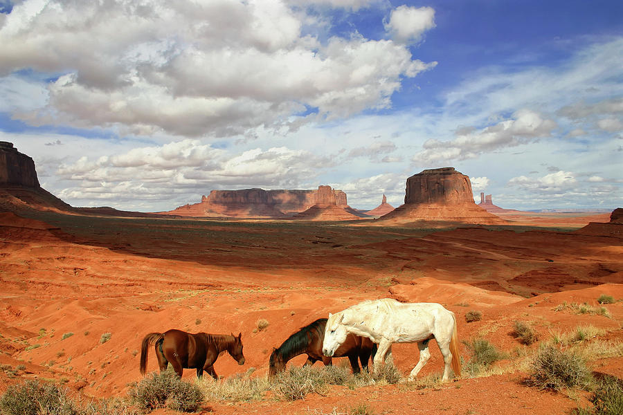 Monument Valley Photograph by Vito elefante