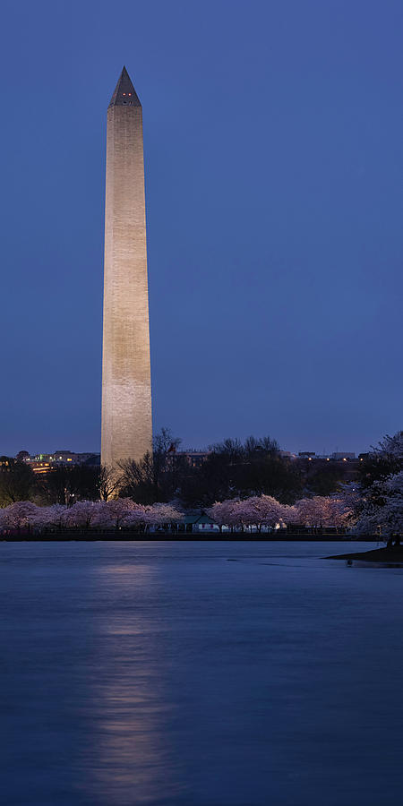 Monumental Blossoms Photograph by Robert Fawcett