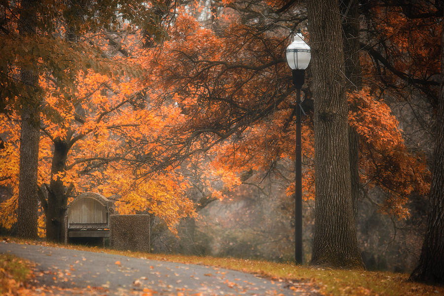 Moody Autumn Morning in the Park Photograph by Shawn Einerson - Fine ...