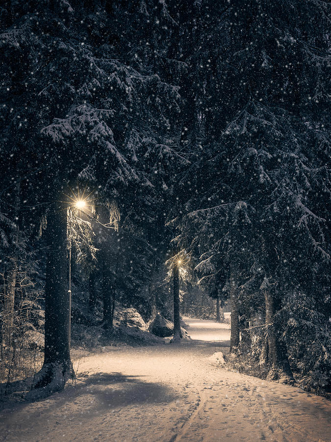 Winter Photograph - Moody Landscape With Snow Path by Jani Riekkinen