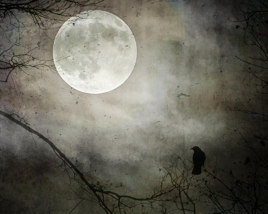 Moody Crow Moon Photograph by Gothicrow Images