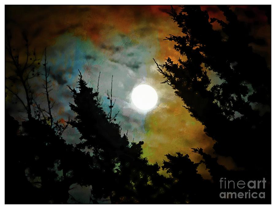 Moody Nights by Leslie Hunziker Moody Nights by Leslie Hunziker