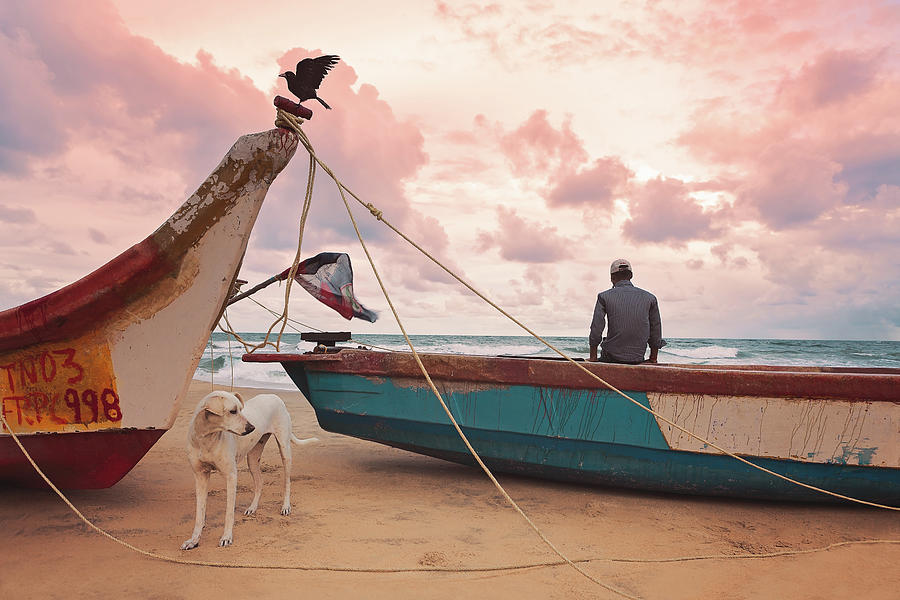 India Photograph - Moody Skies by Marji Lang India Photograph - Moody Skies by Marji Lang