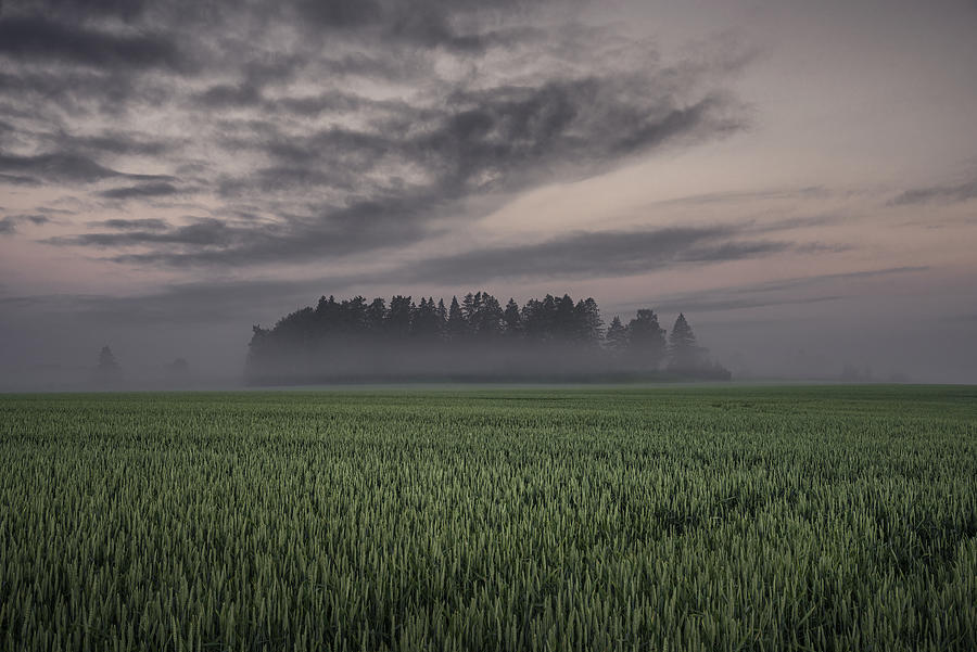 Moody Wheatfield Photograph by Christian Lindsten - Fine Art America