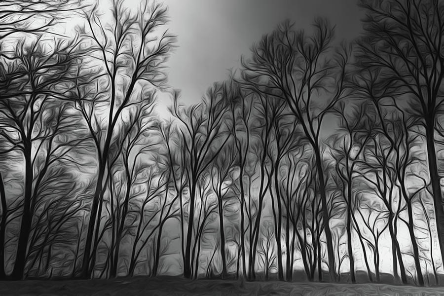 Moodywood by Davin McLaird Moodywood by Davin McLaird