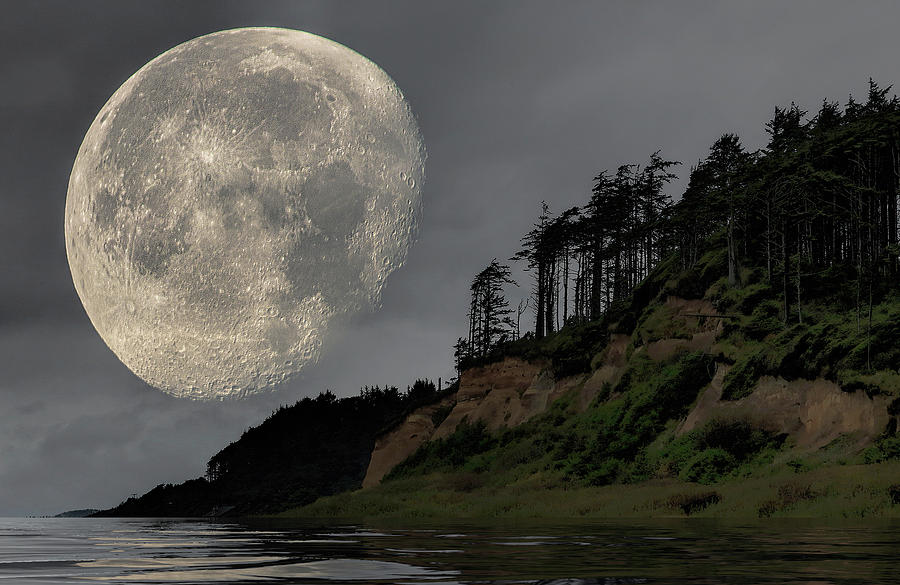 Moon and Beach Photograph by Bob Cournoyer