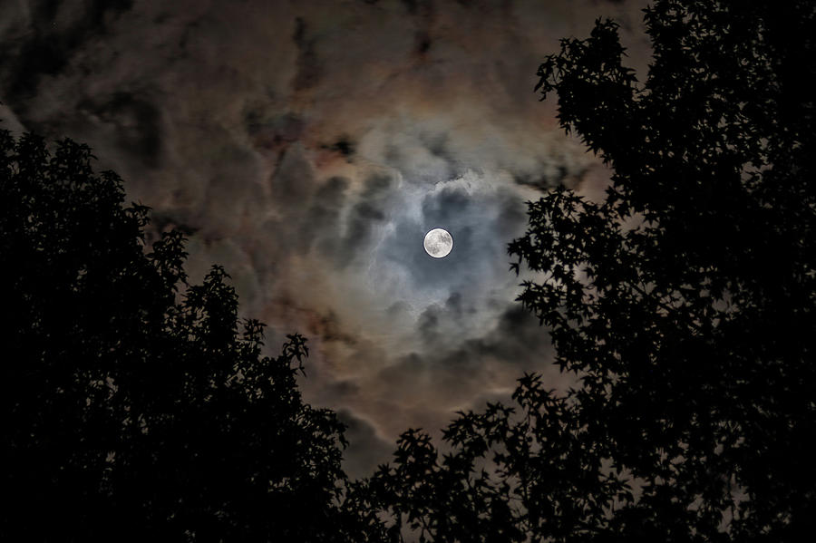 Moon and Clouds 2 Photograph by Allin Sorenson