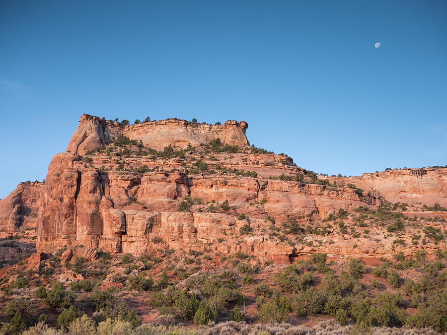 Desert Photograph - Moon and Red Rocks by Patricia Gould