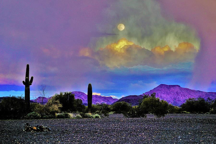 Moon at Sunset in the Desert Photograph by Tranquil Light Photography