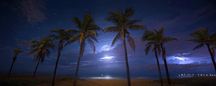 Moon Beach Photograph by Mark Andrew Thomas