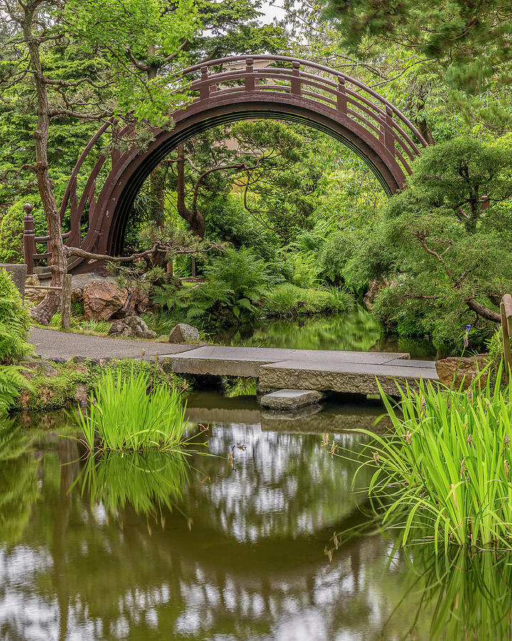 Moon Bridge Vertical - Japanese Tea Garden Photograph by Adam Romanowicz