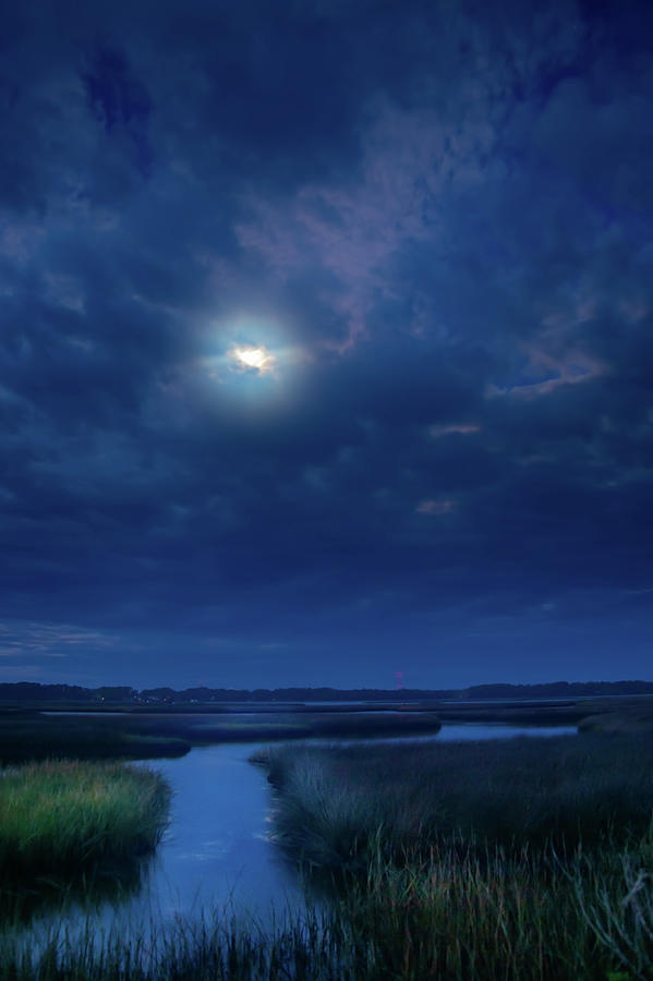 Moon Dog Photograph by Rex Adams - Fine Art America