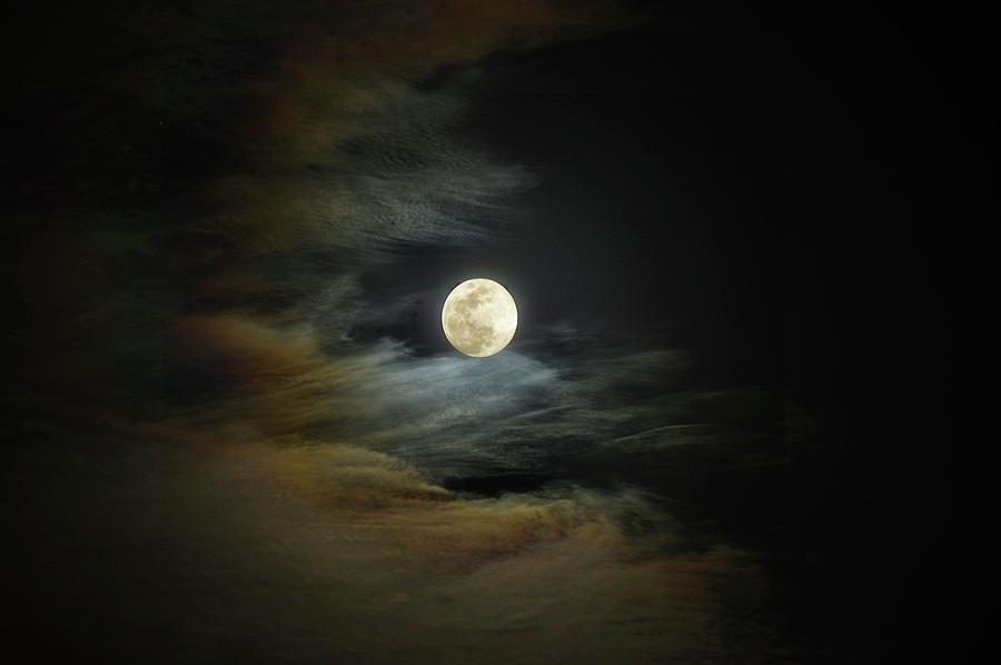 Moon Dog Photograph by Stoney Lawrentz