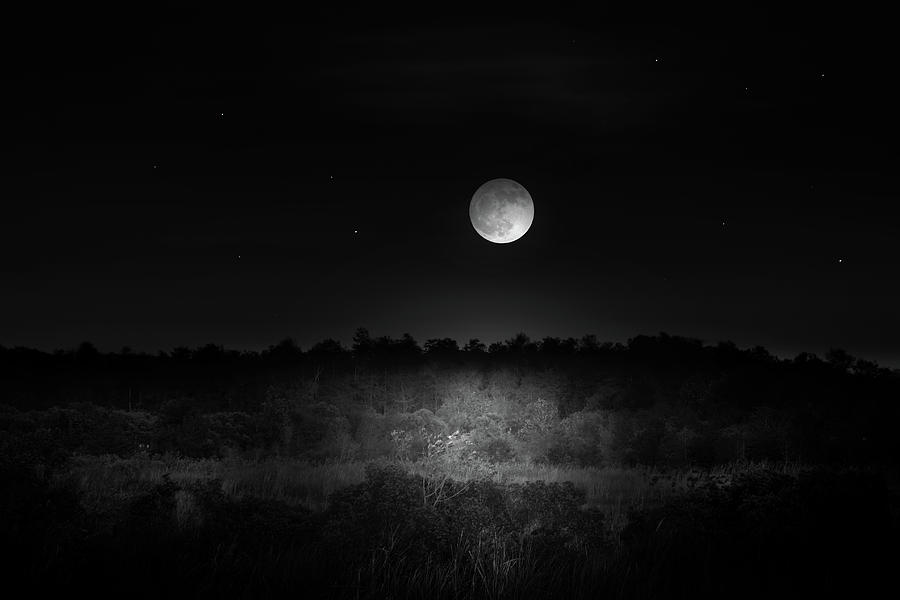 Moon Glow Photograph by Mark Andrew Thomas
